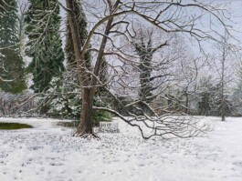 IRIS ANTONIA PRÄKELT - MALEREI