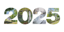 IRIS ANTONIA PRÄKELT - MALEREI